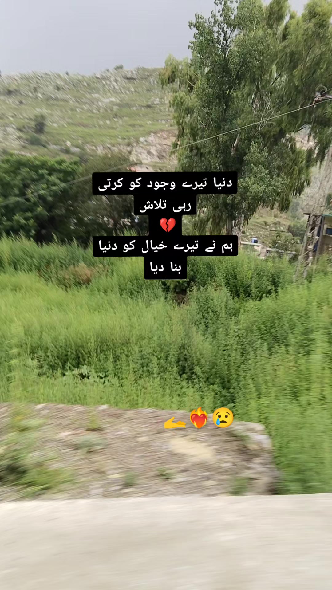 @ヾ(˙❥˙گہری چپヾ(˙❥˙