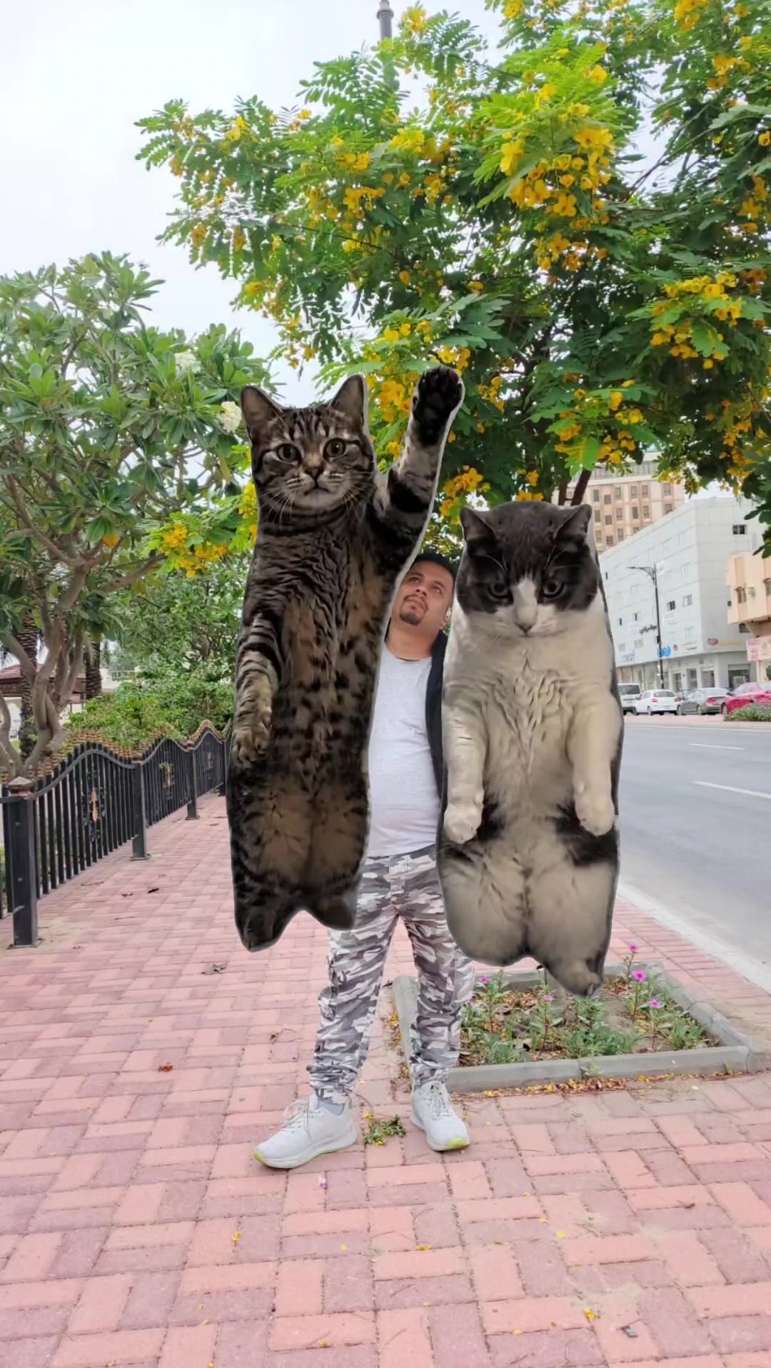 @santop🤟arab123