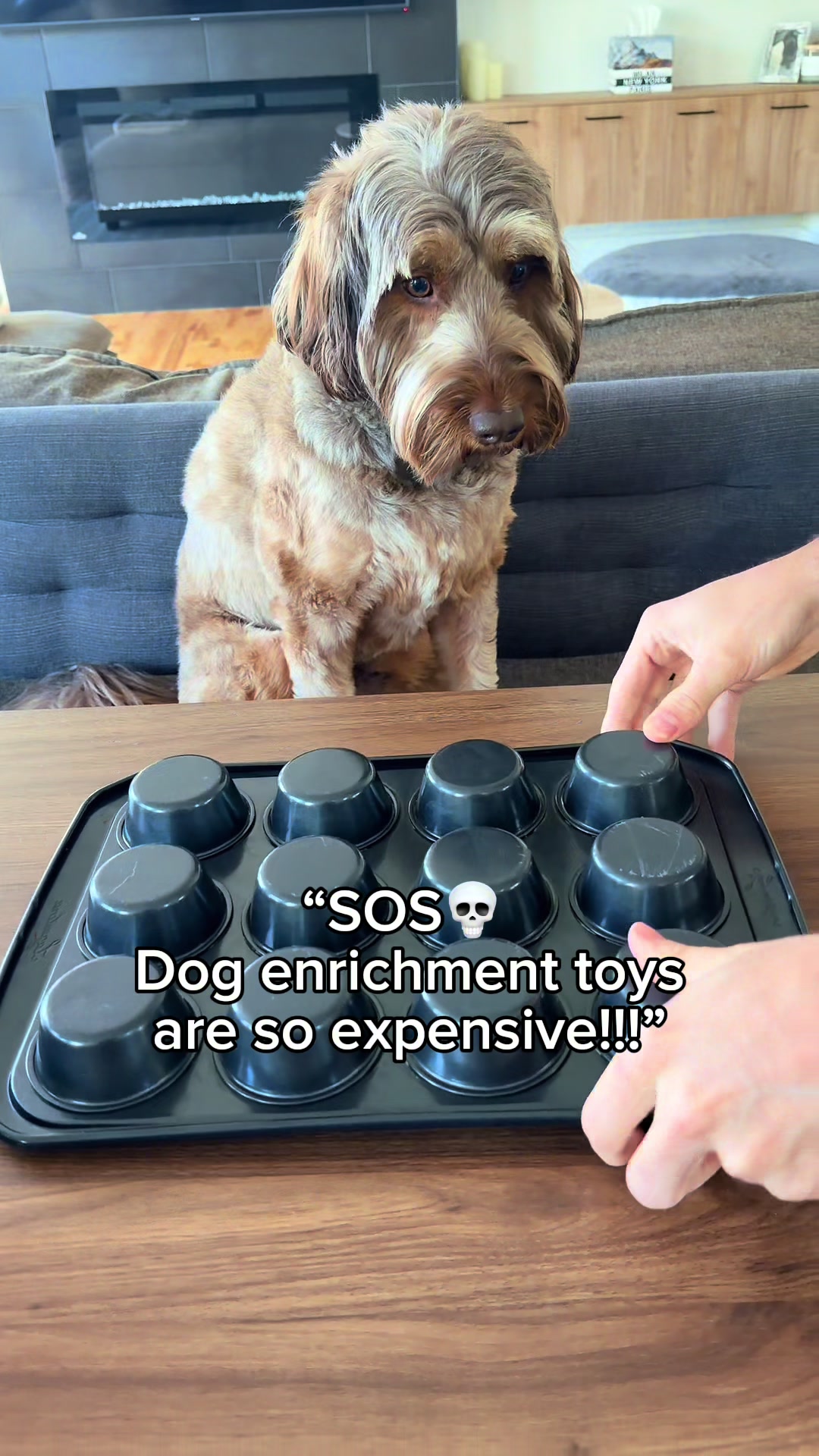 @Dogs Made Simple