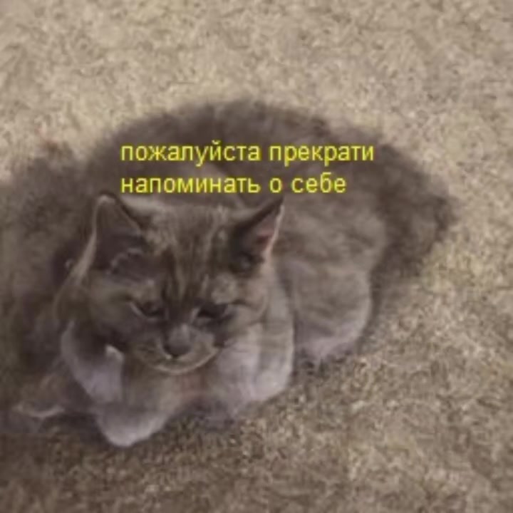 @Пепел