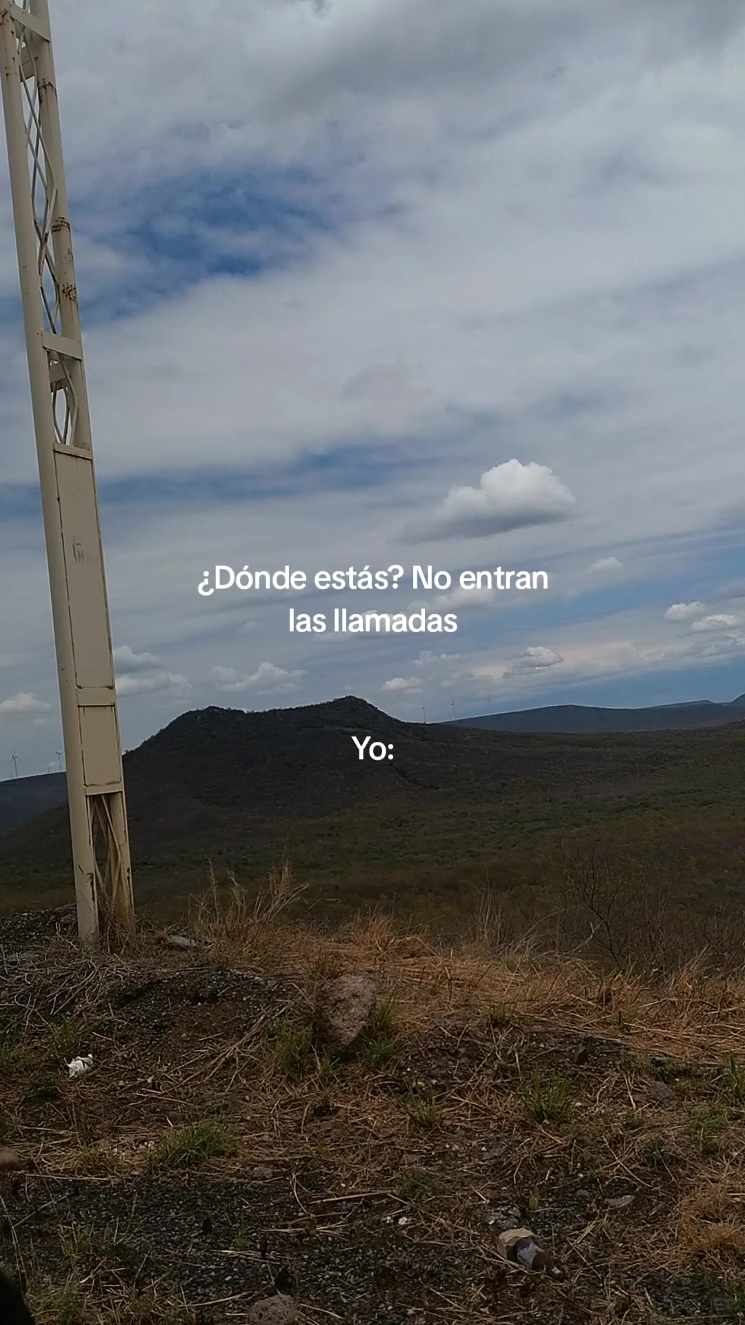 @vecky