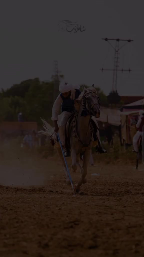 @RAJA SAQIB ALI SAQI