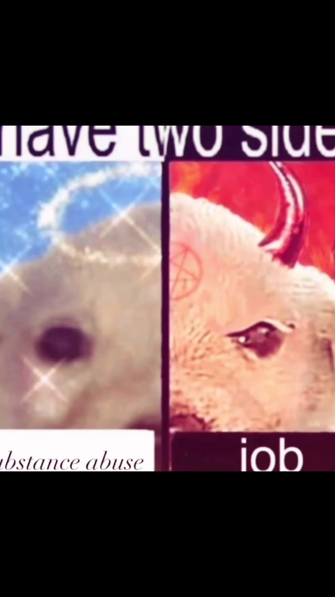 @BOREDAWG