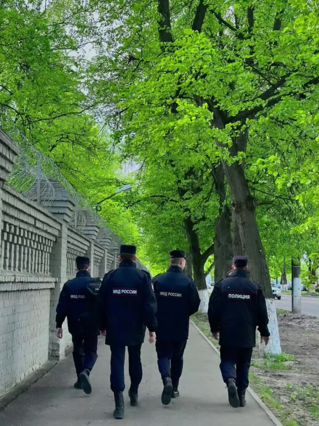 @из жалости