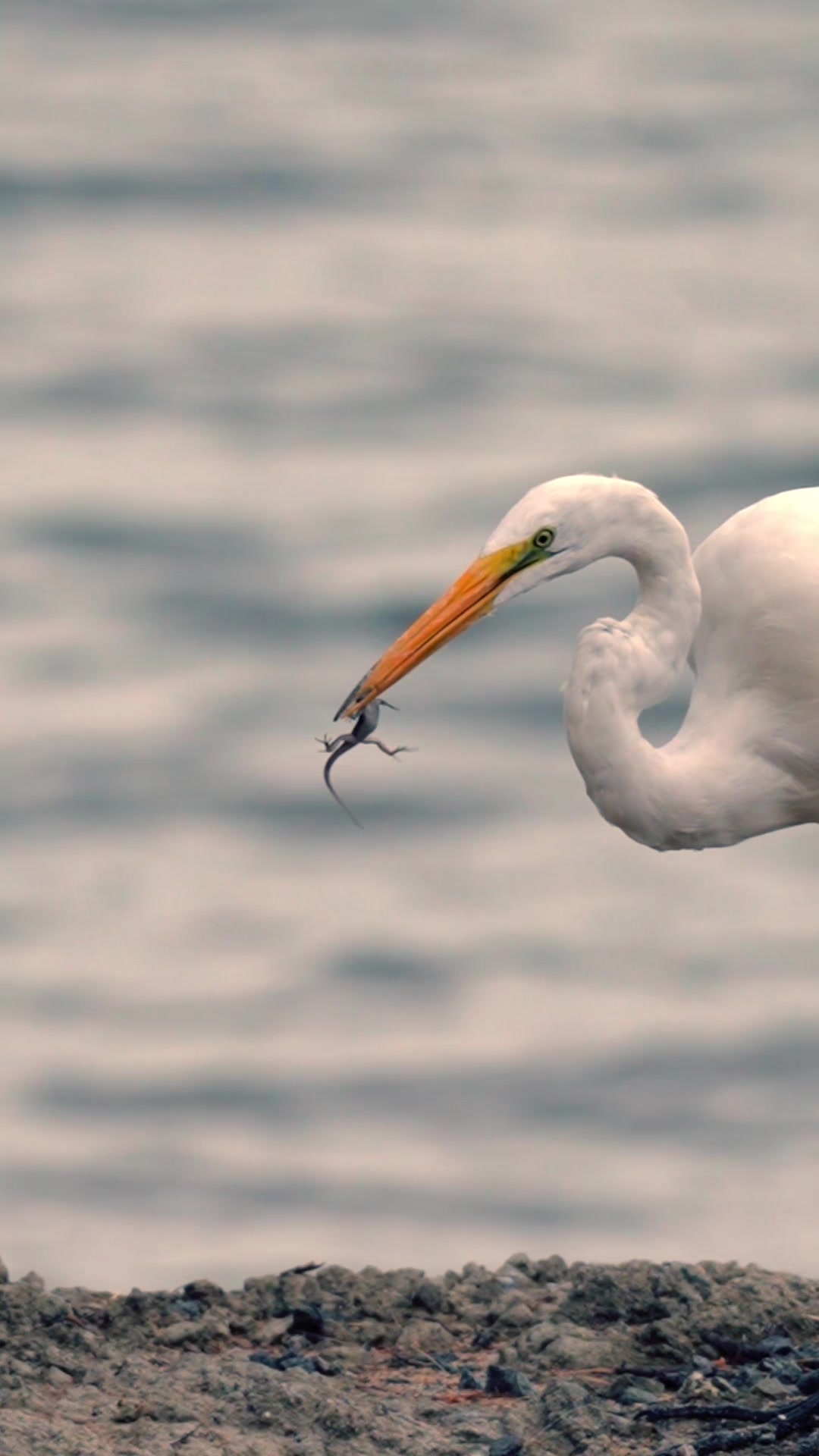@snailtrailadventures