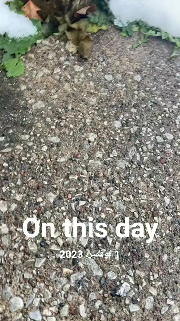 @🇨🇦🍎