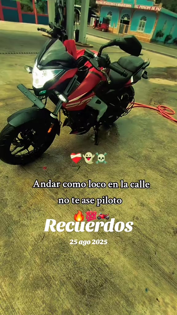 @frank Tzep Quemá🦁
