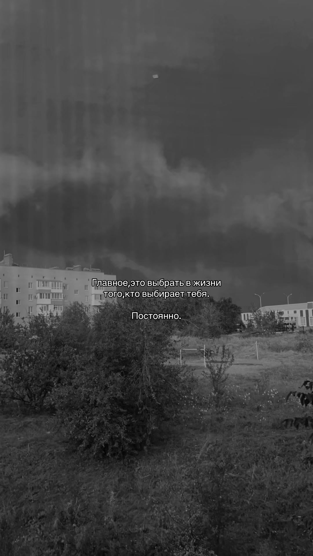 @Кошечка_что-ли🇦🇲
