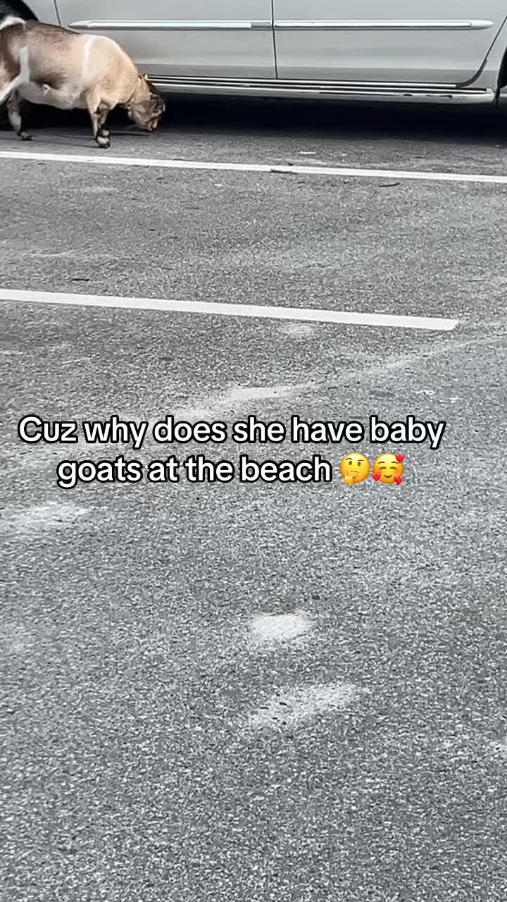 @Shortychuli