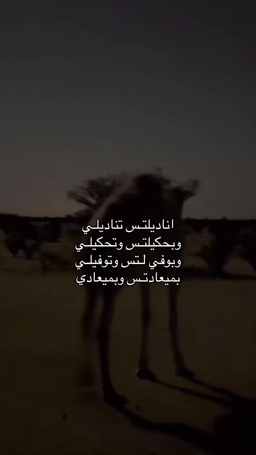 @عـــمـــر ³⁰⁵⚖️