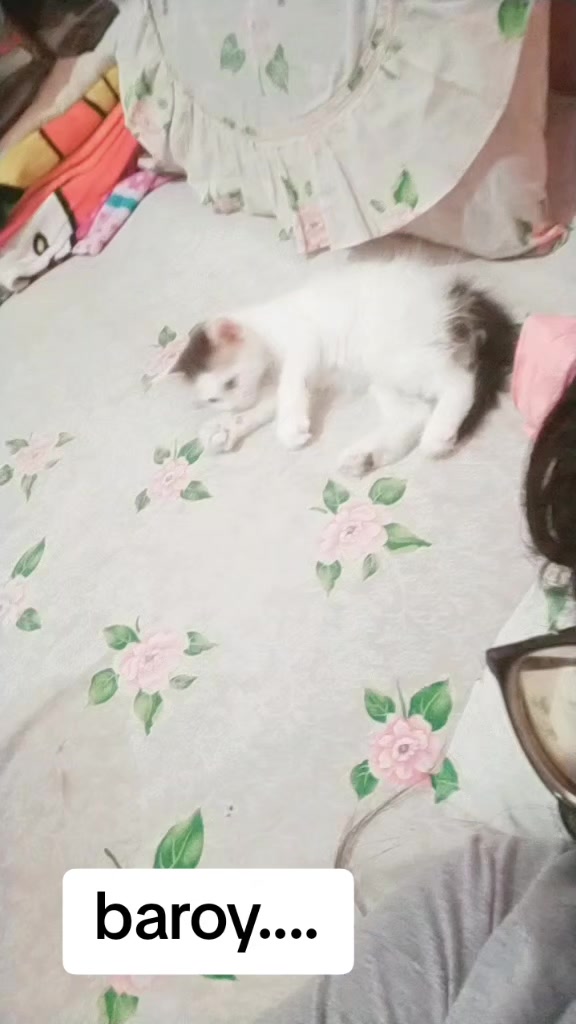@Faiznya defvi