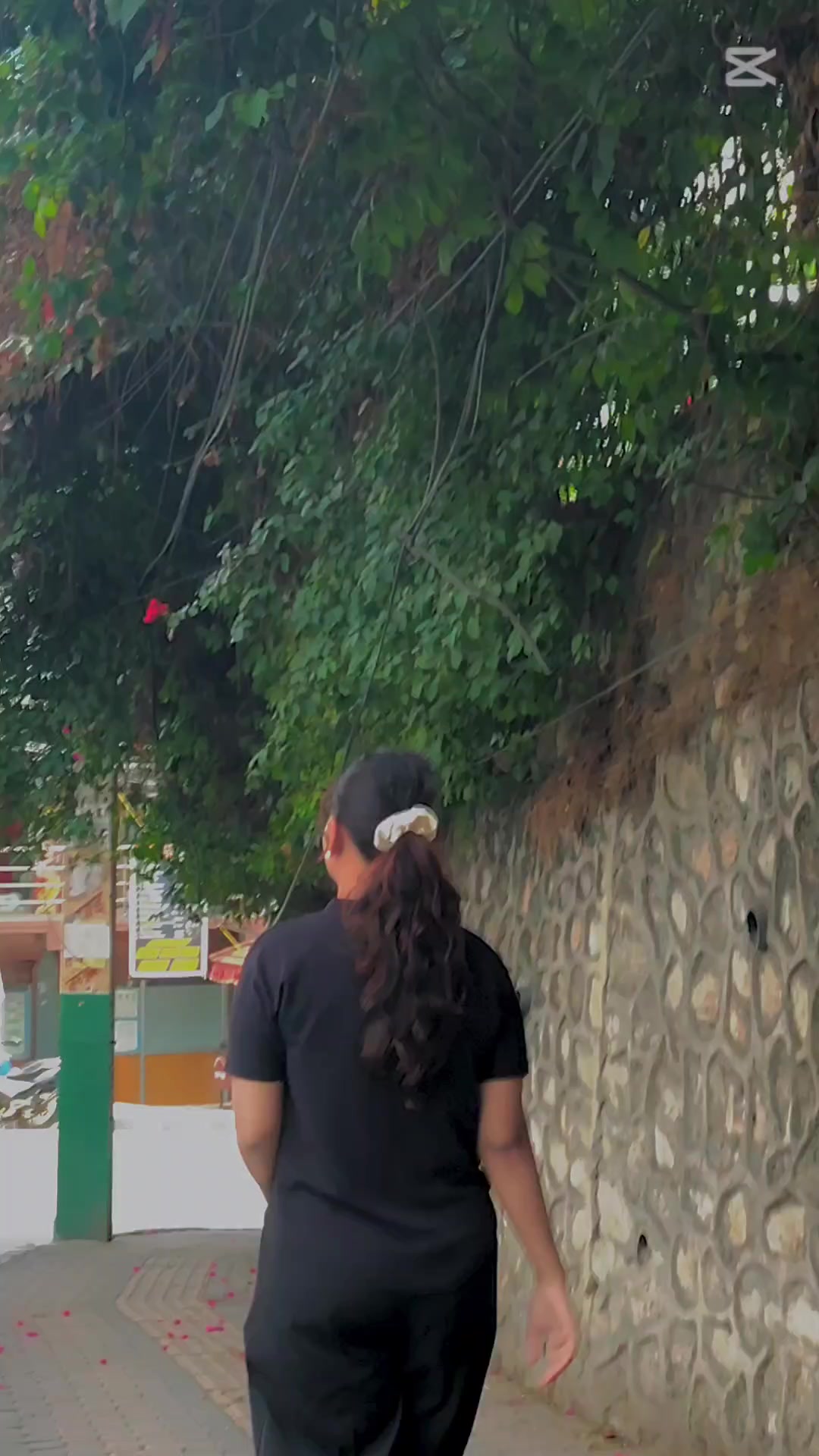@🌺