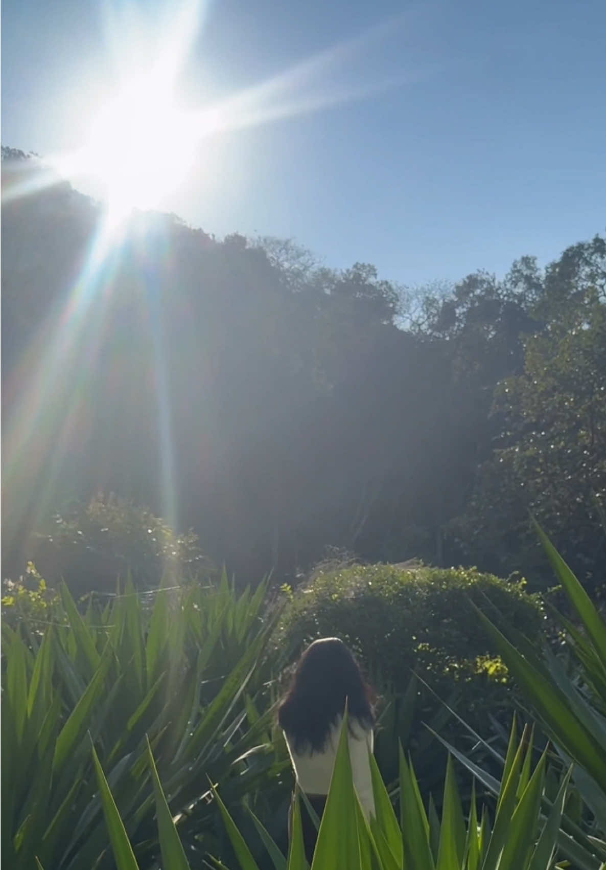 @Aashu🦋