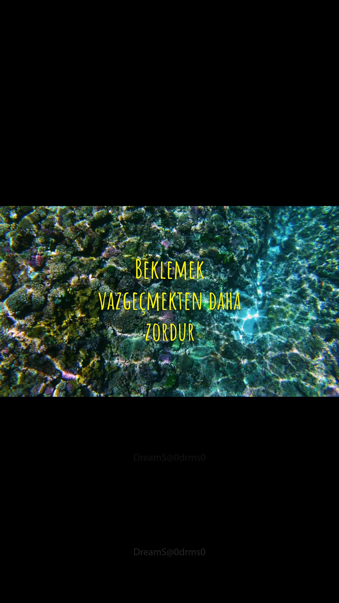 @DreamS