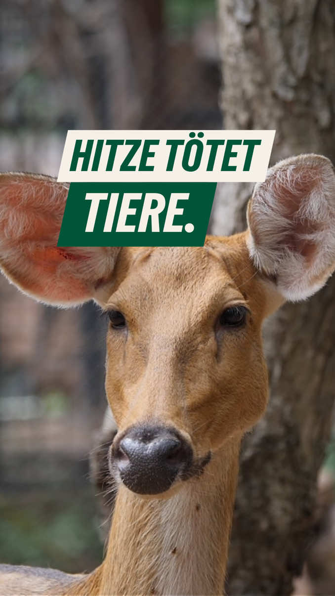 @GR&Uuml;NE Bayern