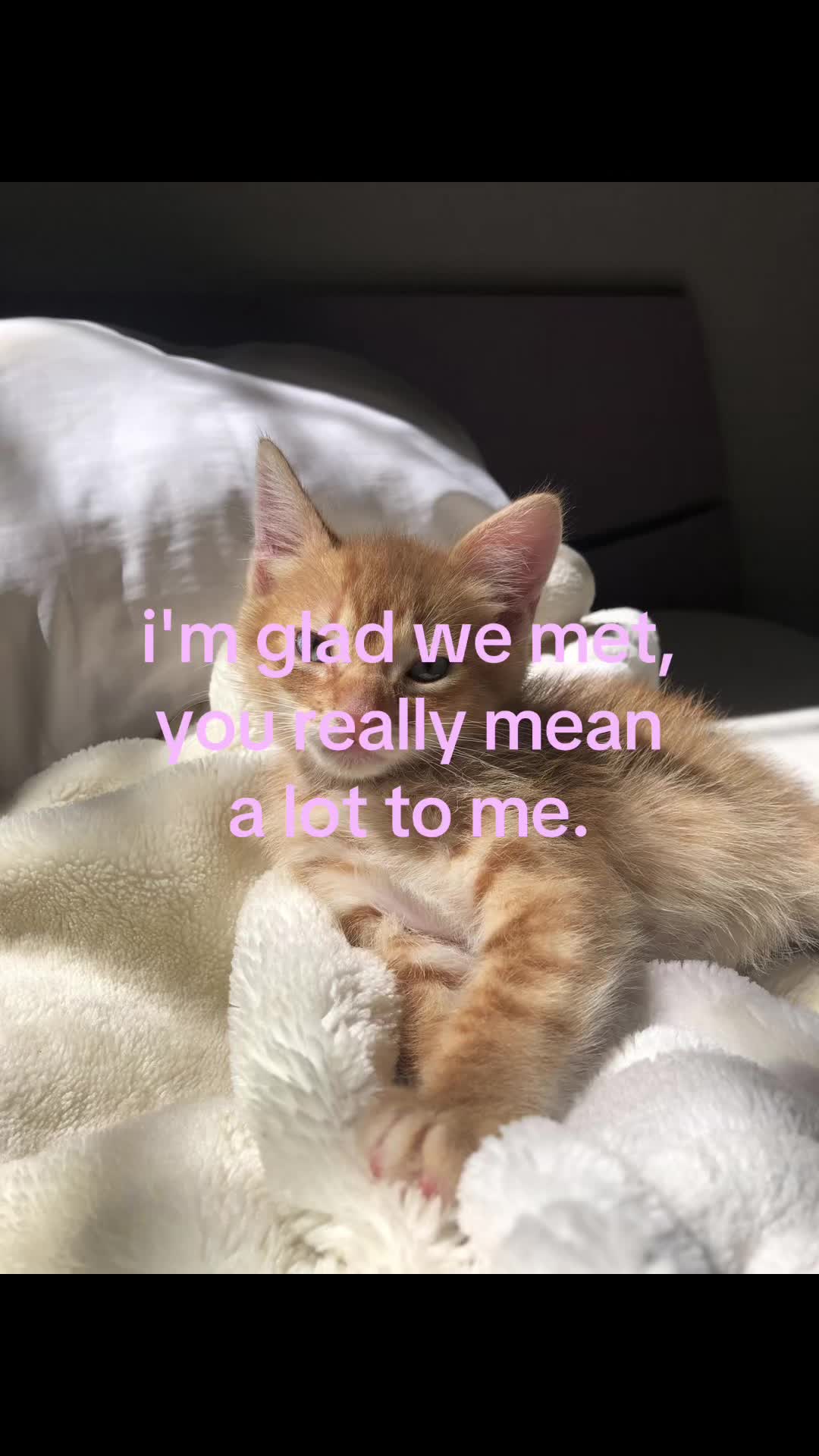 @caughtafeeling