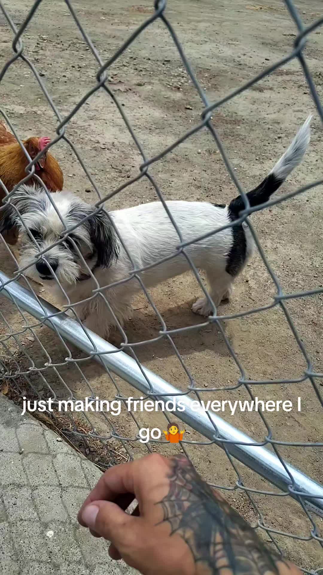 @AWWTIZUM
