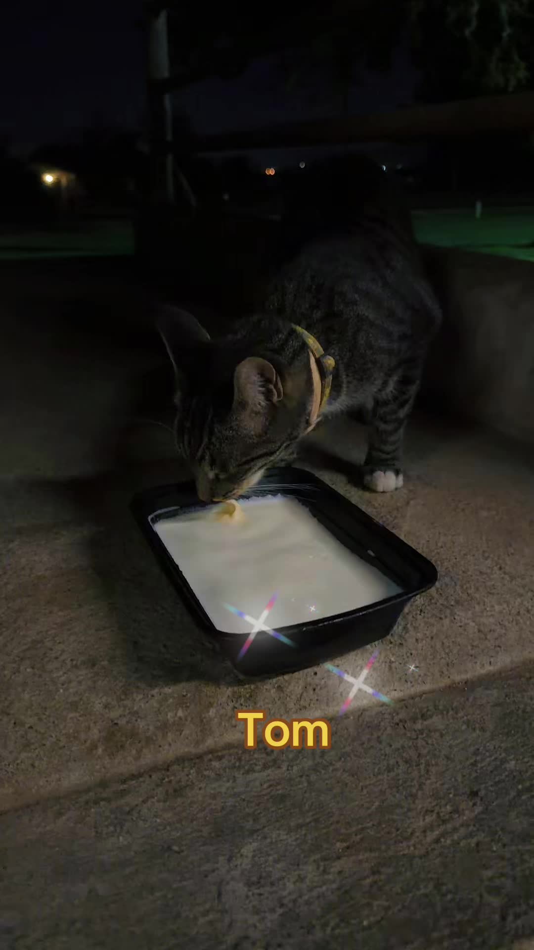 @Amri Gatitos