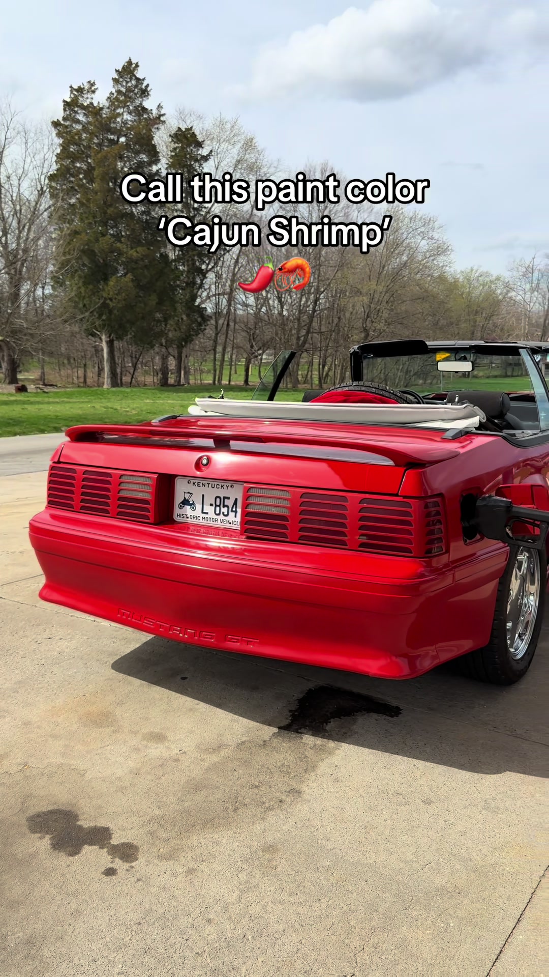 @&lsquo;REDЯUM&rsquo; Racecar Driver