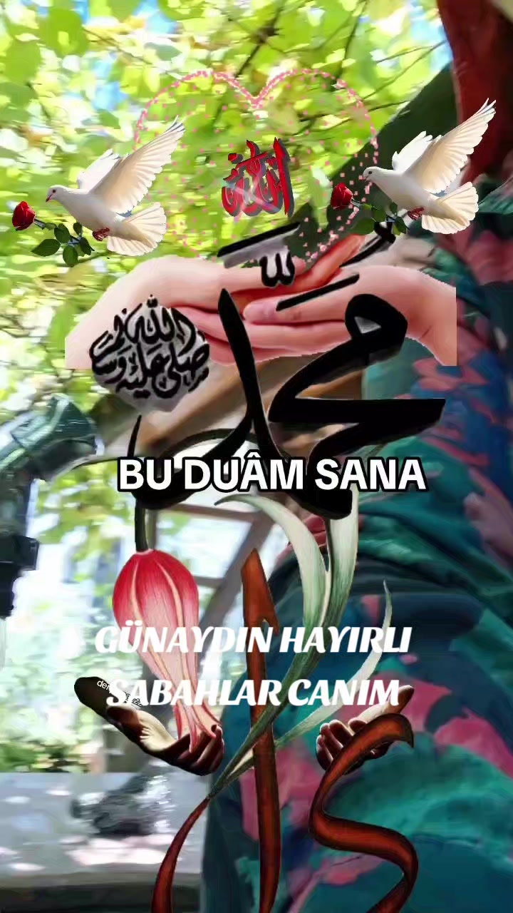 @Hasan Yılmaz