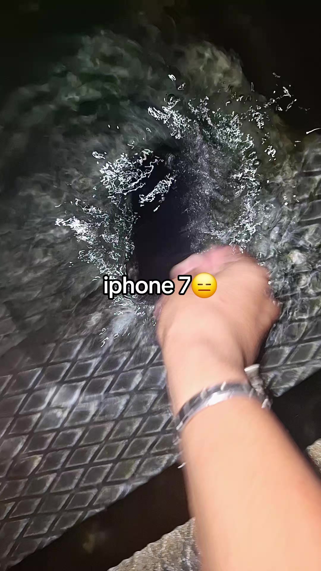 @🐶