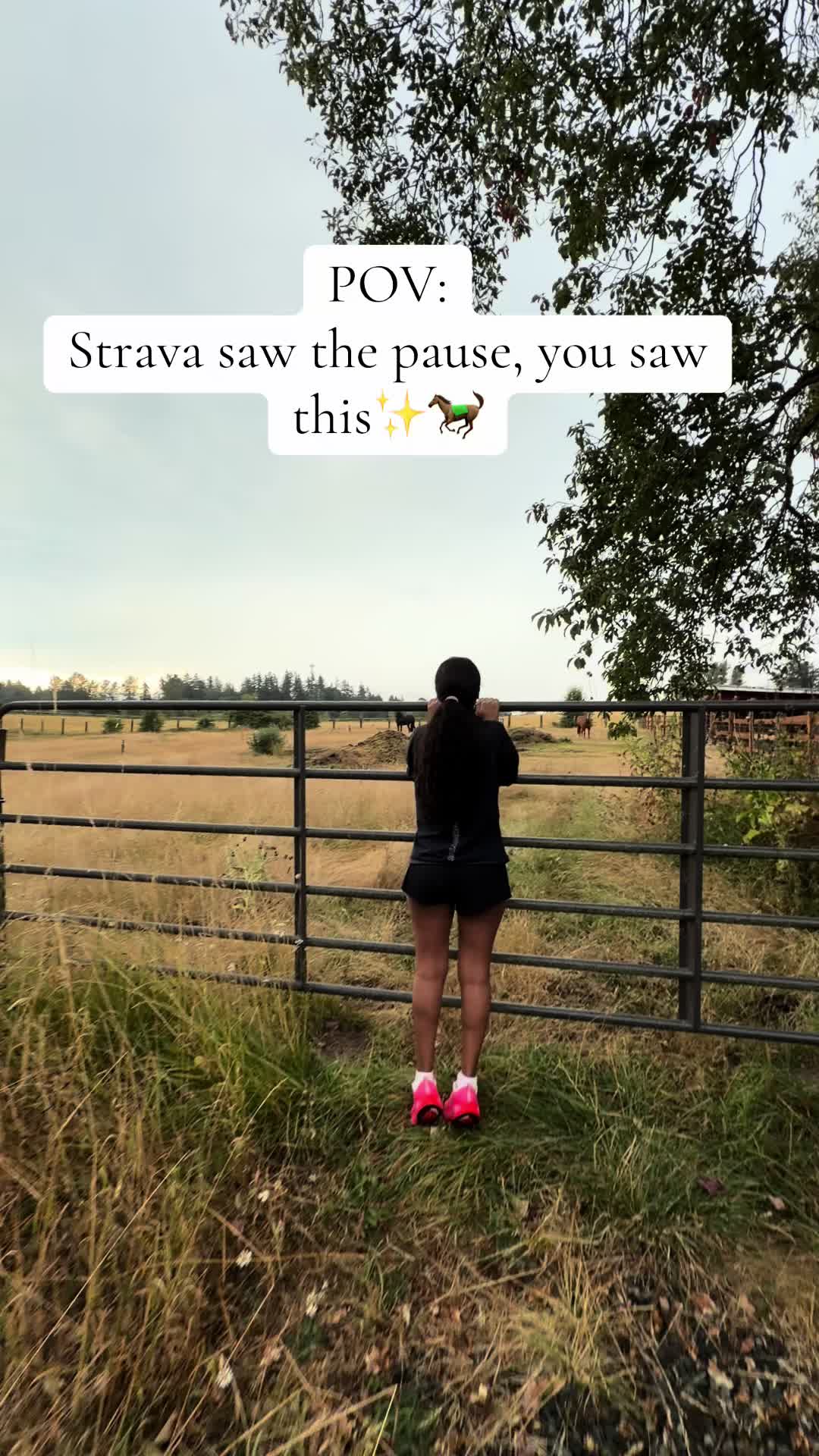 @Hanaa