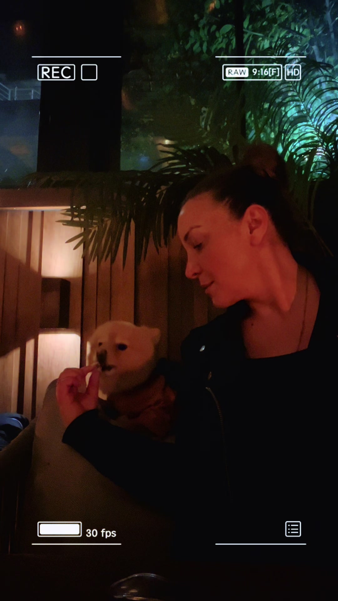 @Canina