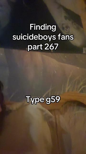 @curlyjoejr2376