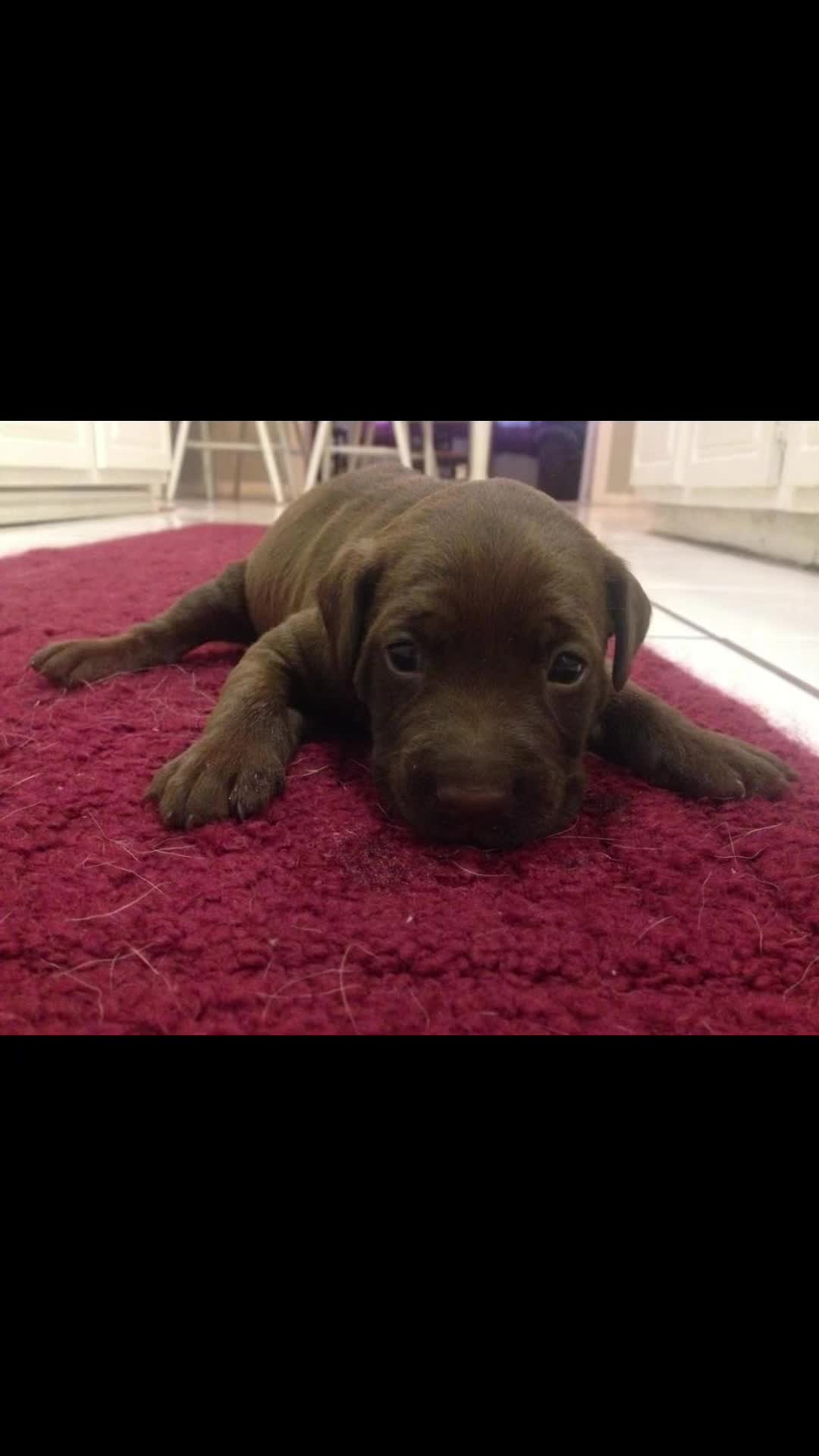 @texas_rose_yall_aka_meg
