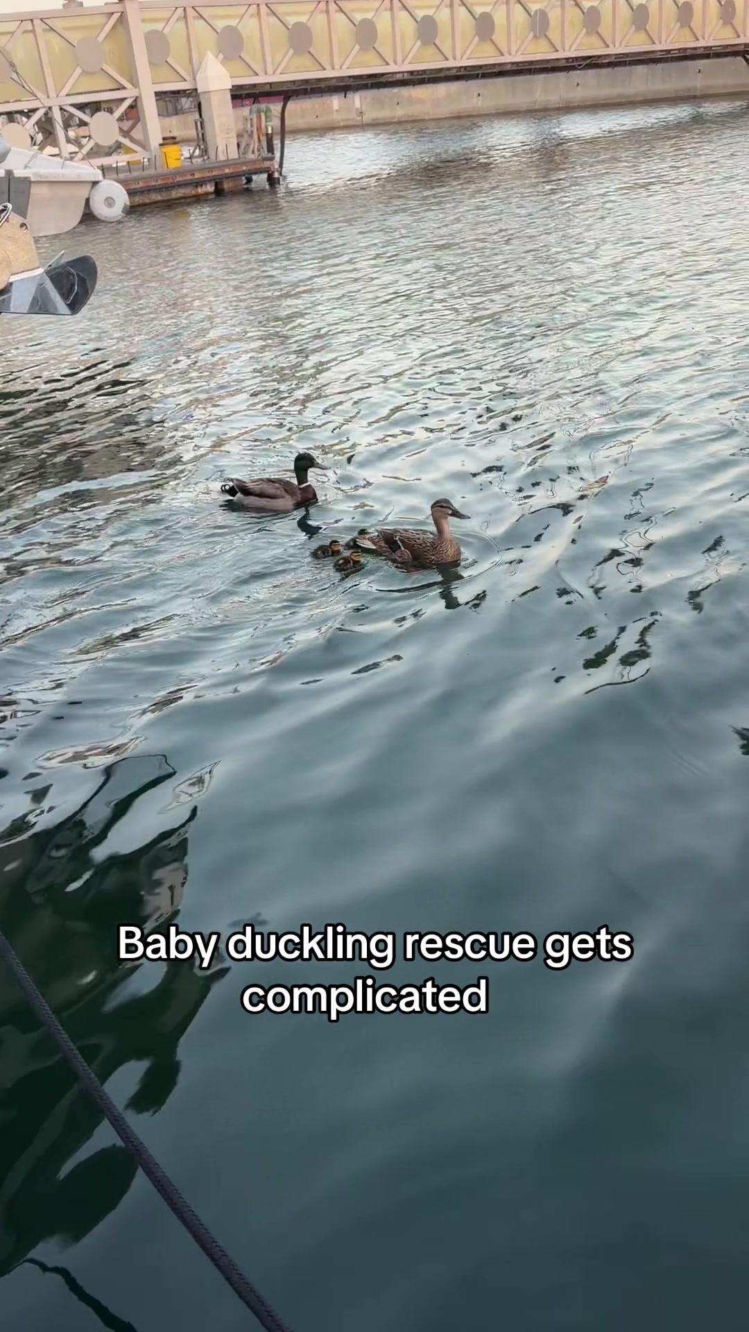 @Rebecca Adam