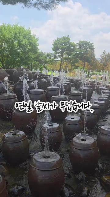 @꽃중년의 시선