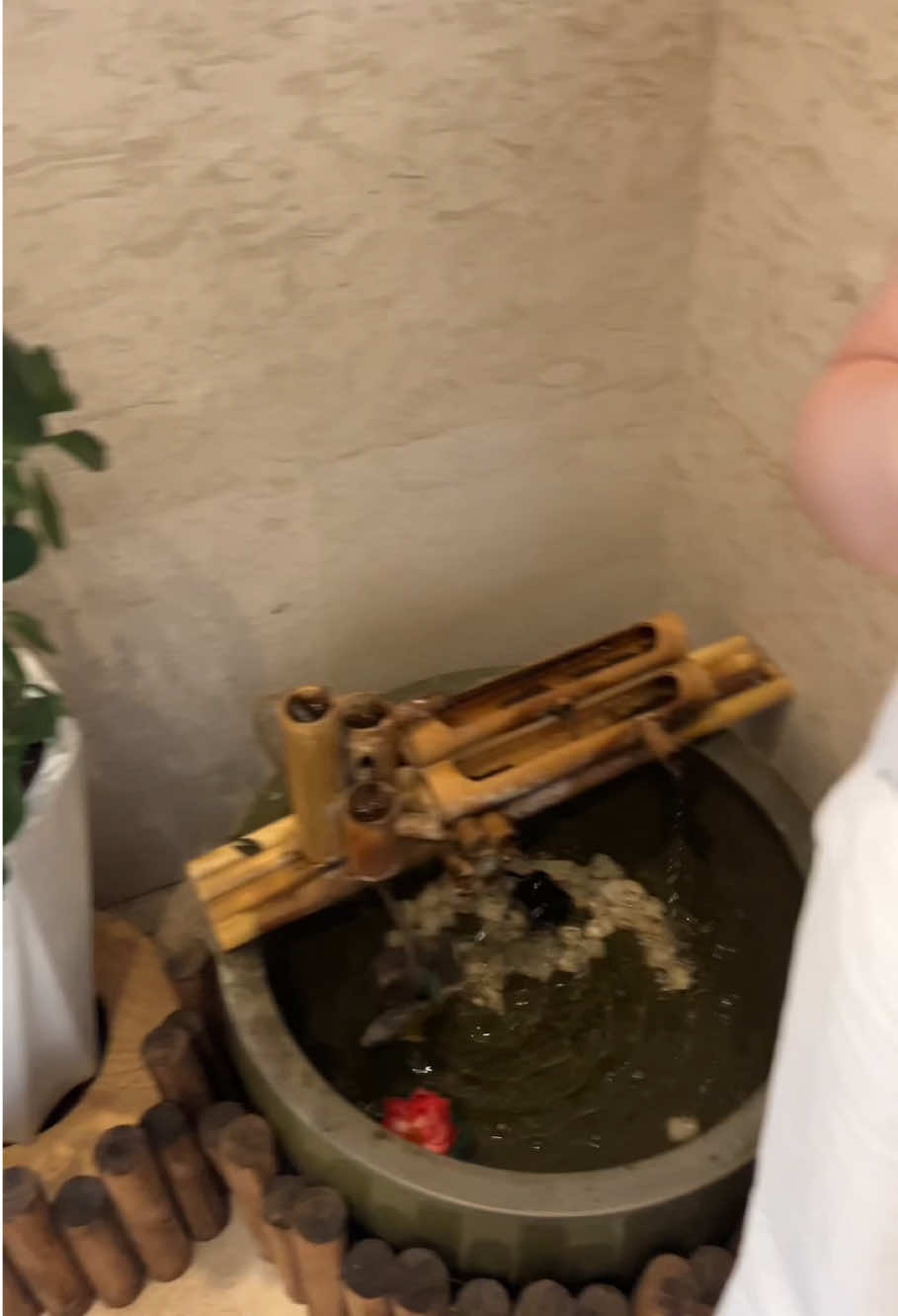 @funnypetsoftiktok2