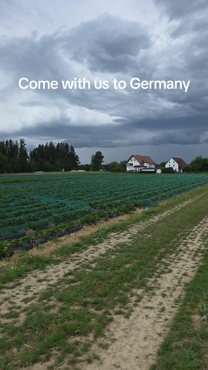@doringorina