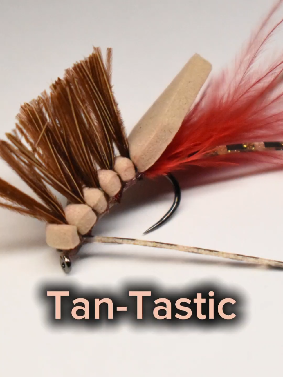 @2DownTackle
