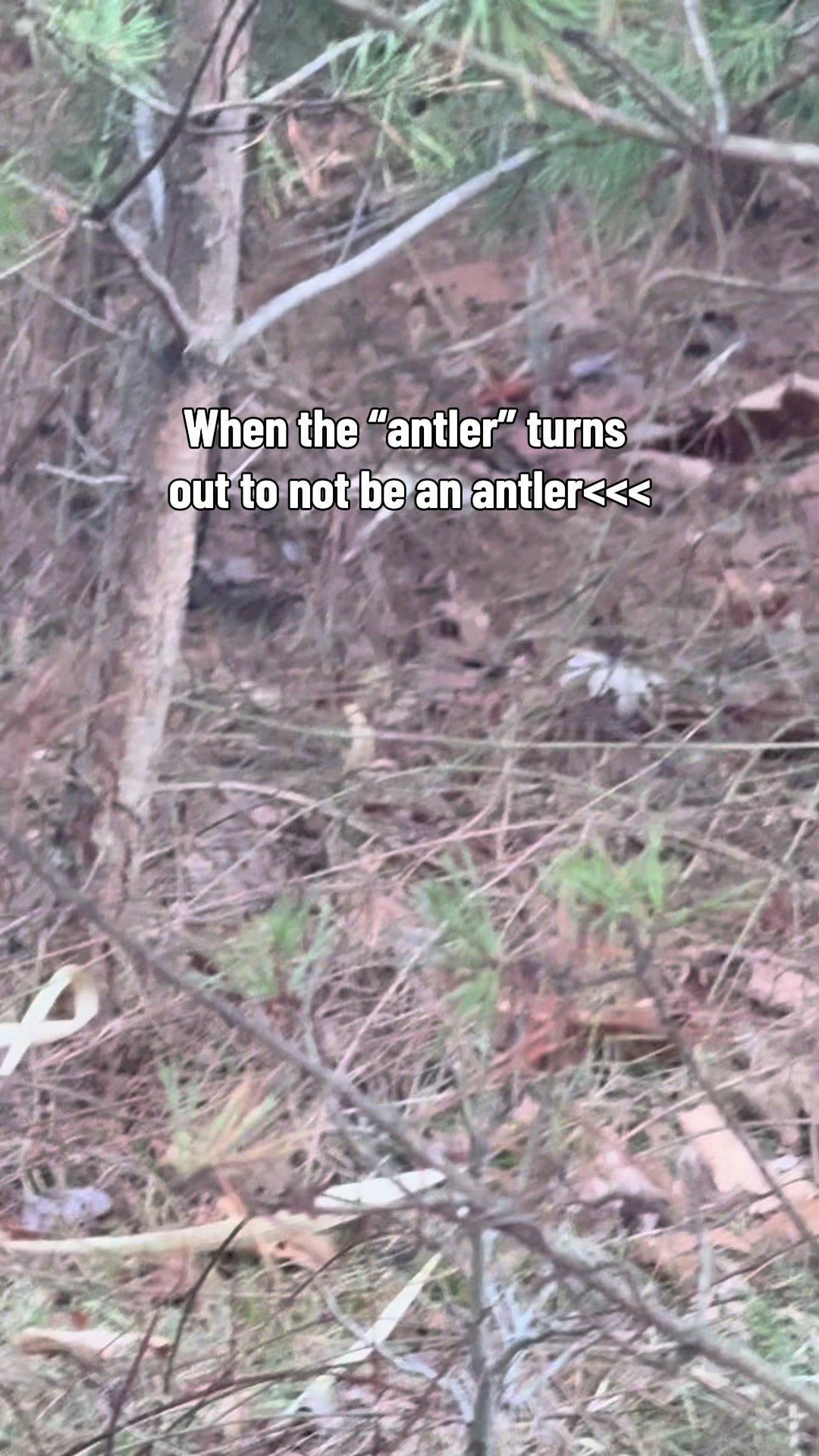 @Mellott Outdoors