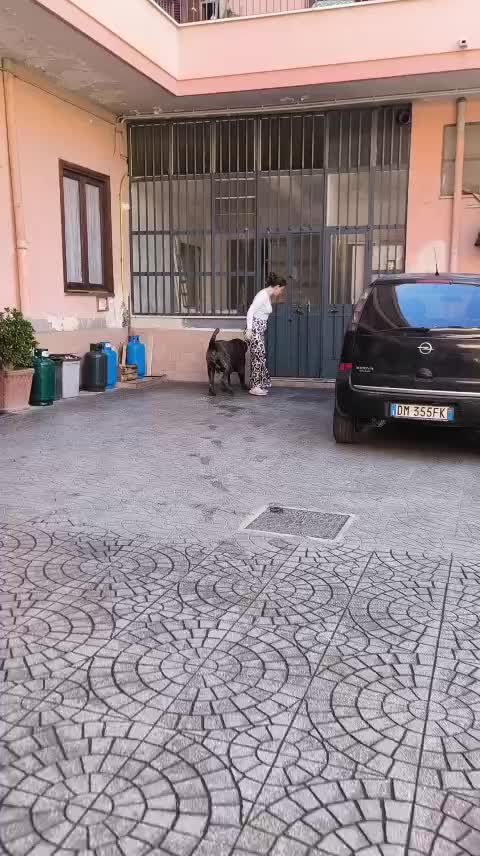@fortunaserra