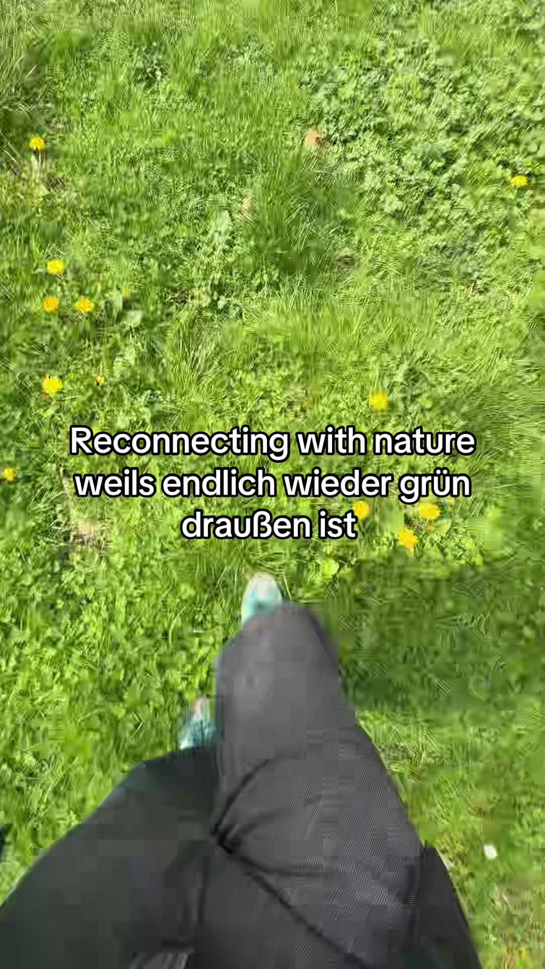 @5Raumfenster