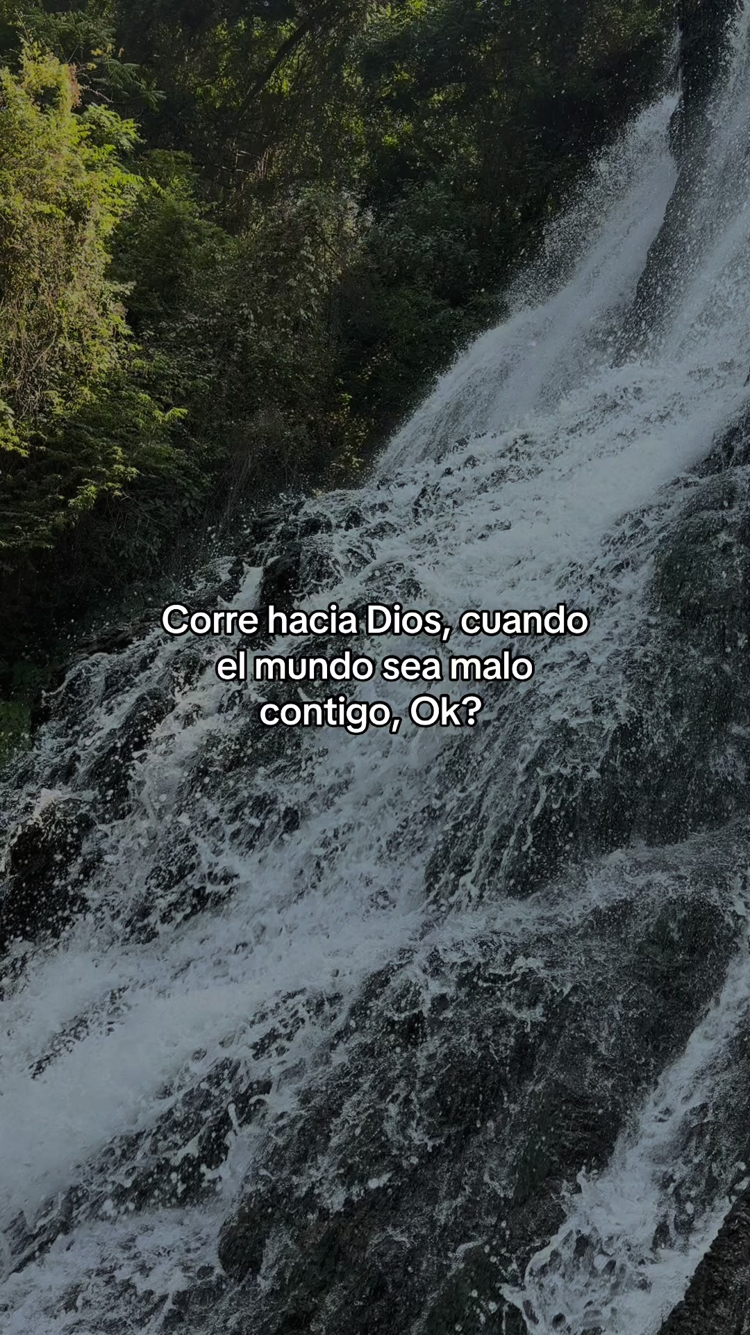 @testigos_adv