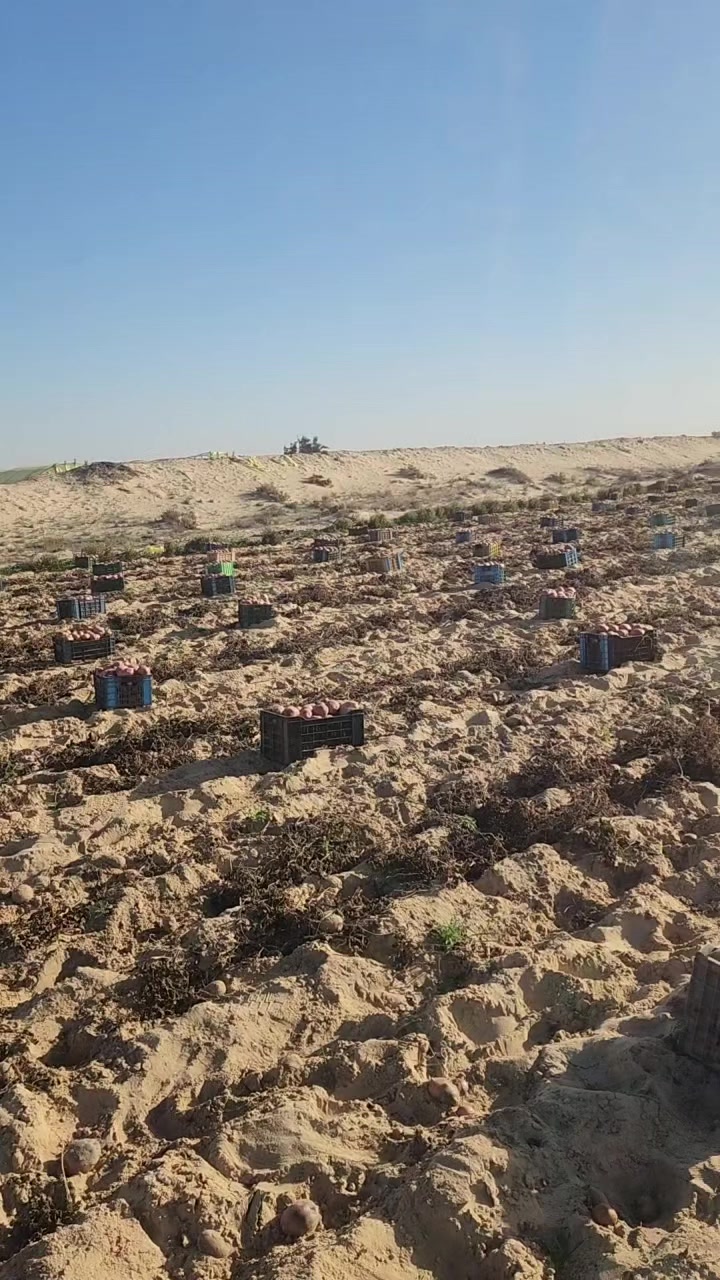 @آلبآشـآ 👑