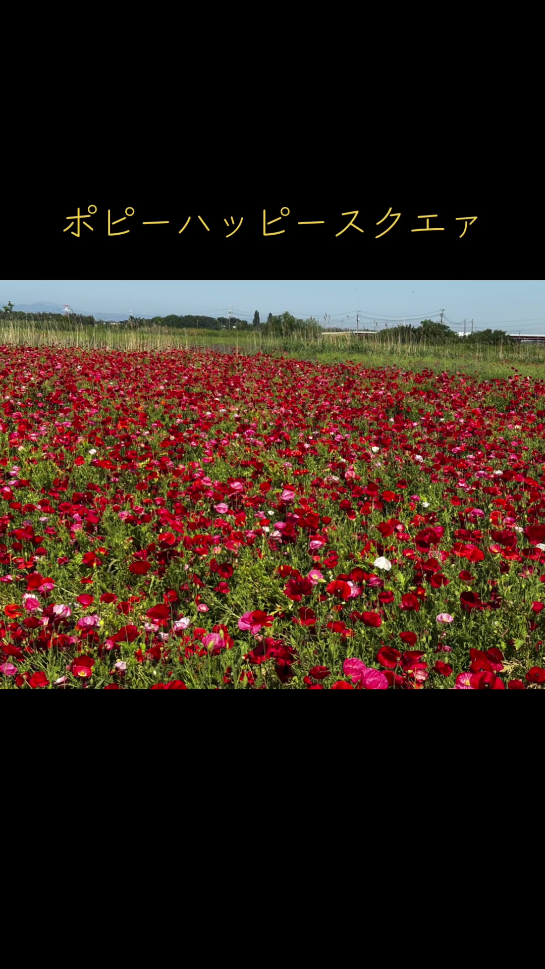 @ぜる