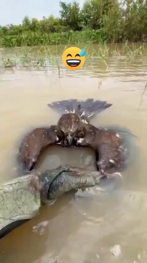 @🅣̣̣̣ 🅤̣̣̣ 🅜̣̣ 🅚̣̣ 🅞̣̣ 🅝̣