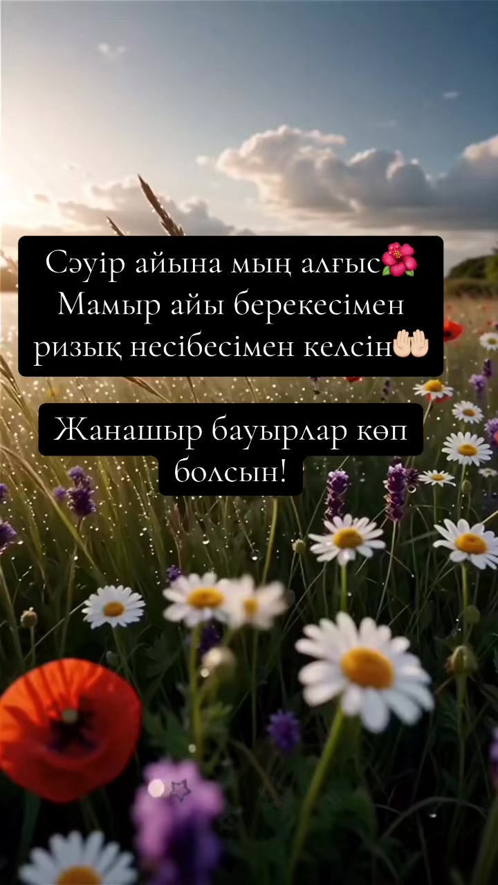 @Asel🌺
