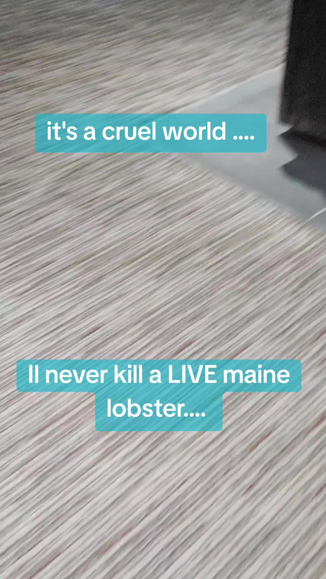 @Bahamamahma
