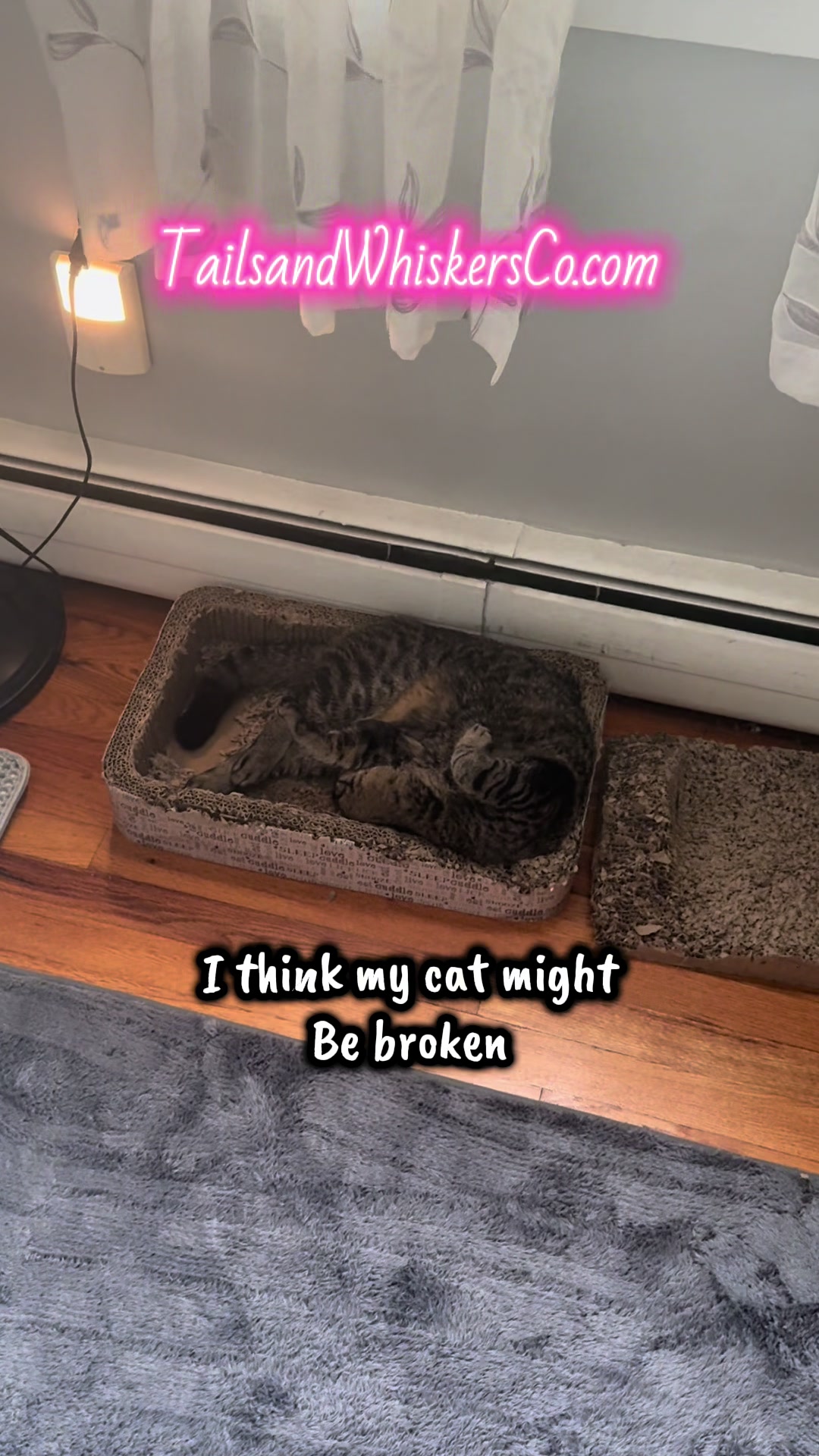 @TailsandWhiskersCo