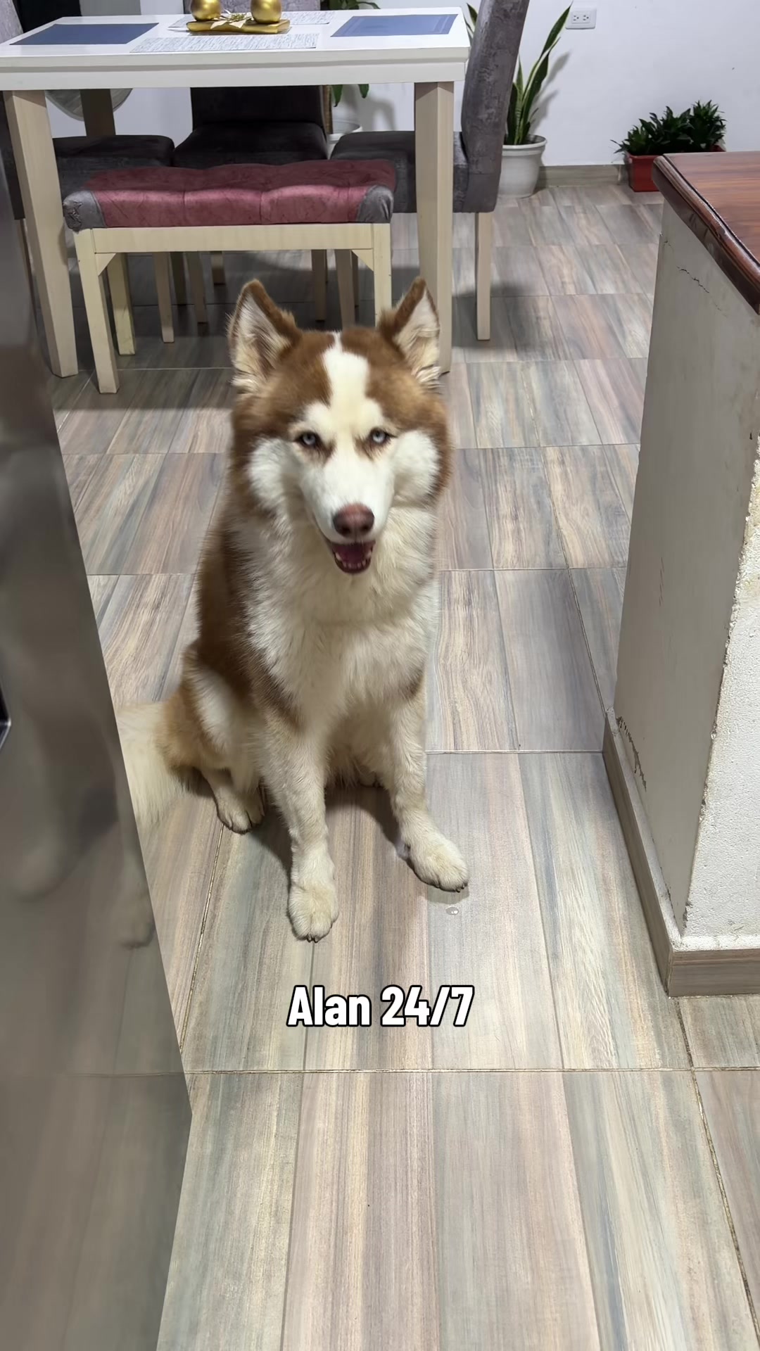 @Alan