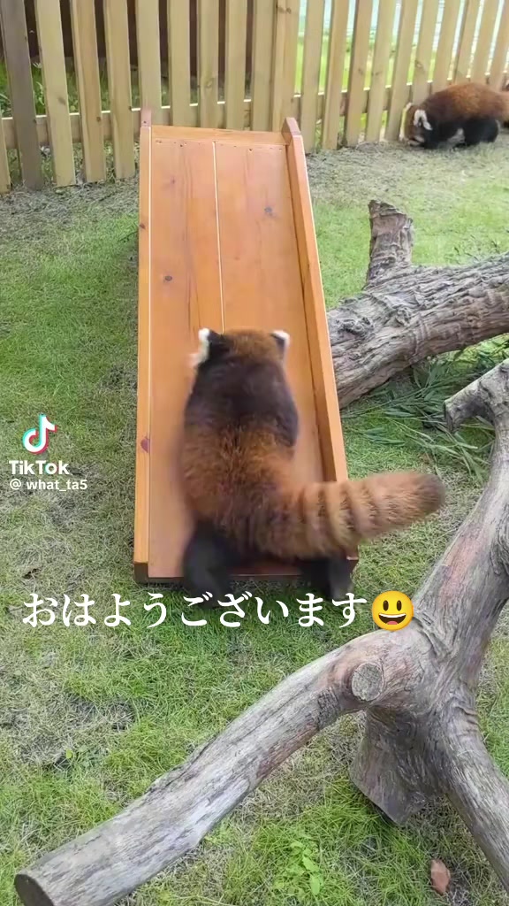 @クマ🐻(うえぴー）✊️❌️🐤