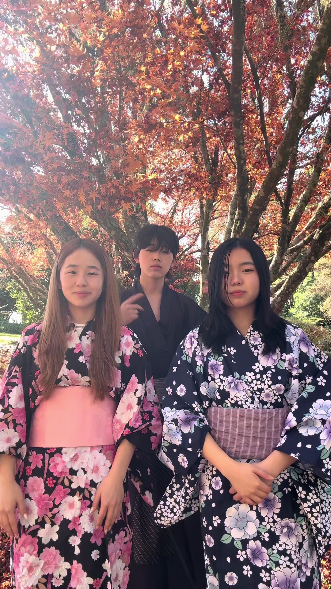 @ALN_TRIO
