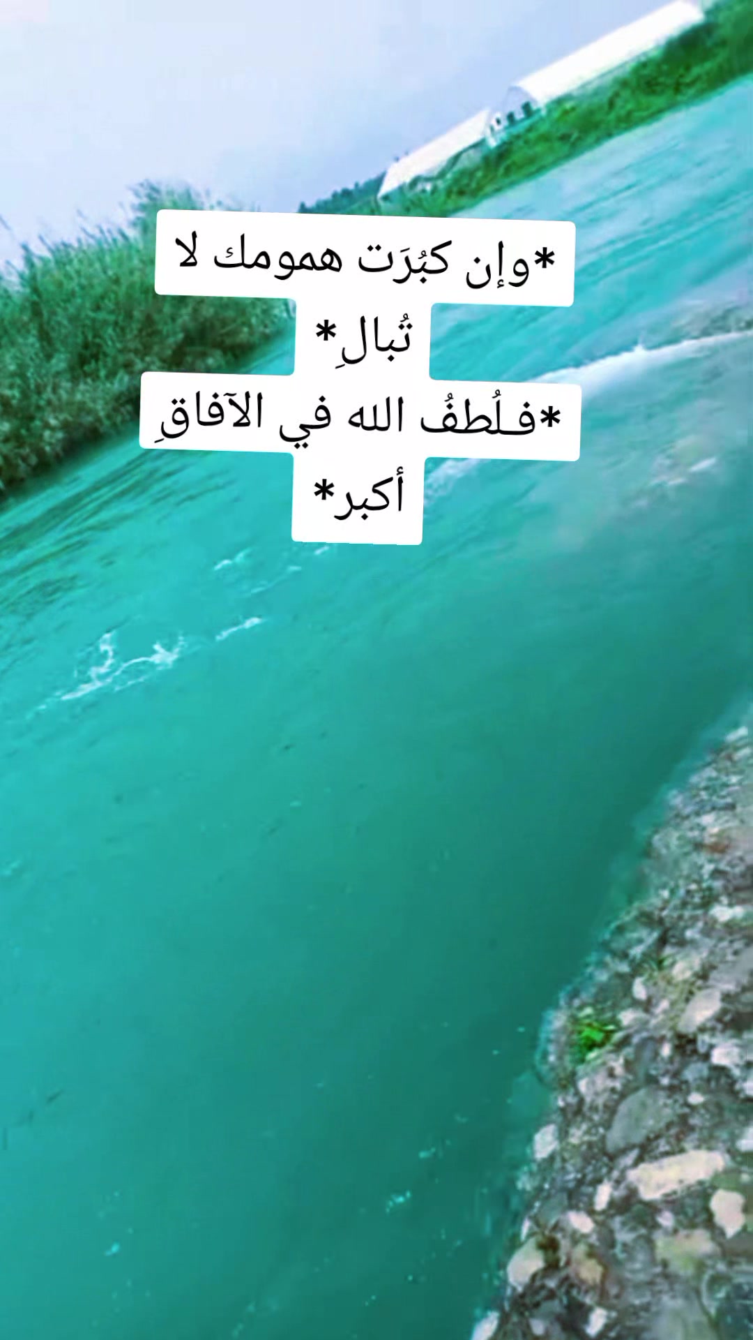@꧂ أمـْـْْـْ آدمـْـْْـْ canısı
