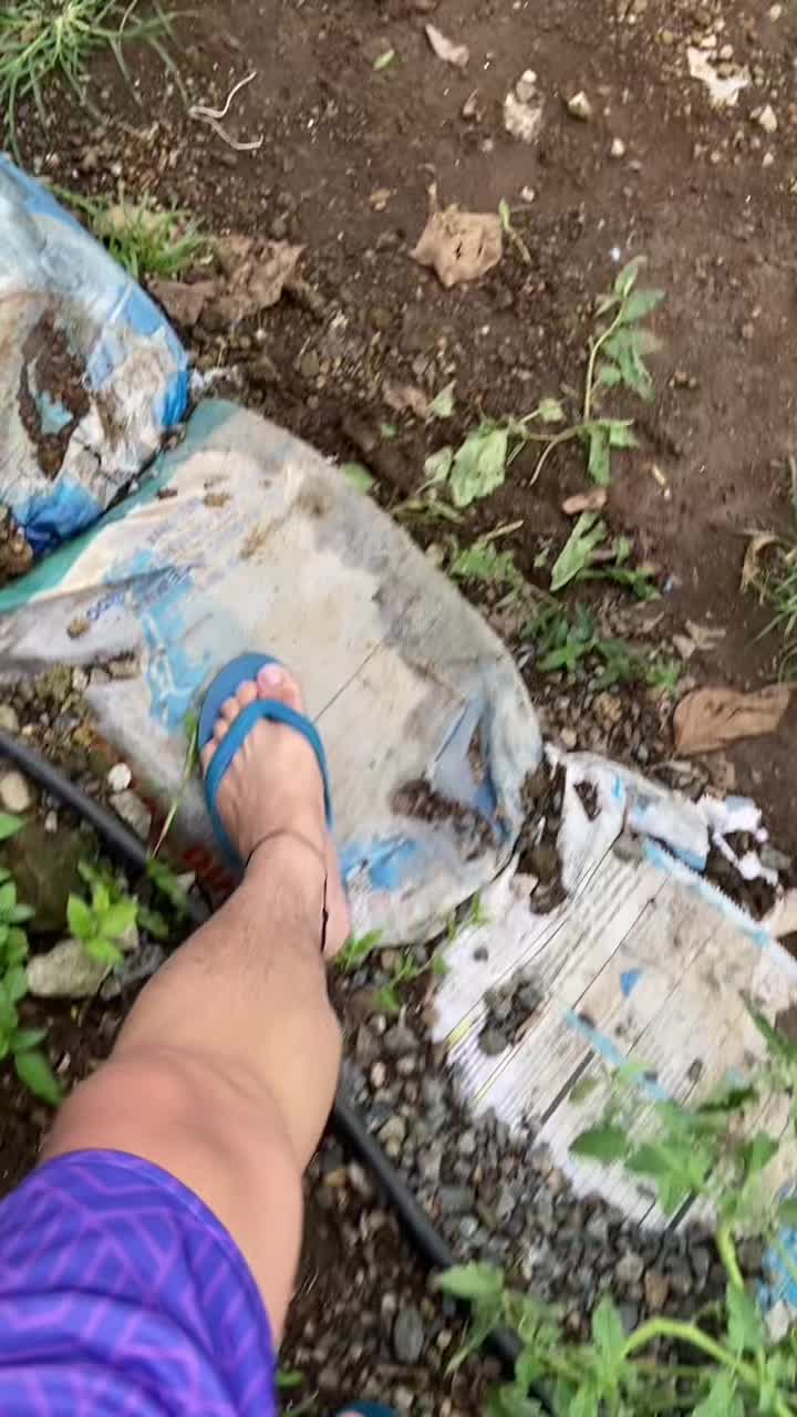 @mitchii