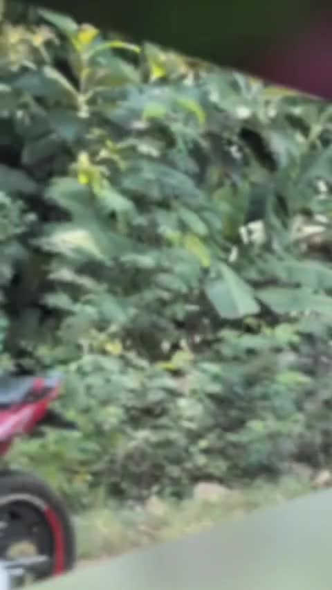 @Dulanjana